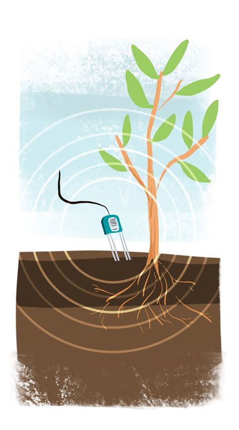 custom soil moisture meter for citrus trees|soil sensors for citrus groves.